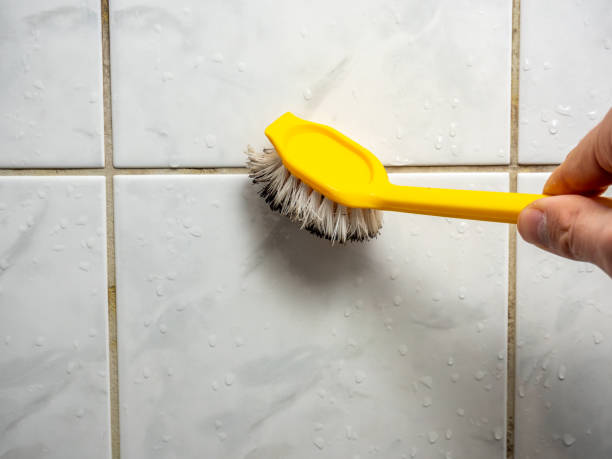 Best Bathroom Mold Remediation in Wilmington, OH